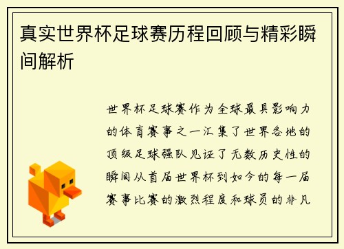 真实世界杯足球赛历程回顾与精彩瞬间解析